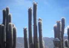 Salta our Province 9