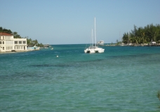 Androssea
