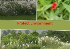 Protect Biodiversity