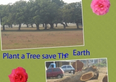 Plant a tree save the earth