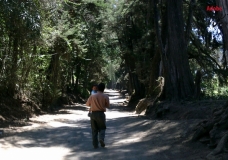 A long way to walk