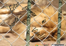 Living behind bars
