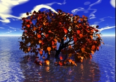The Tree of Time