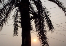 Environment