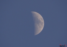 Half Moon