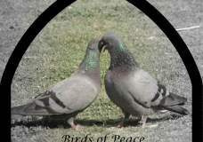 Peace & Love