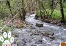 Save Dachigam Campaign