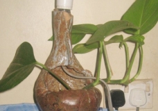 Multifunctional Ceramic art pieces.(Uganda)