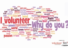 2 - Why Volunteer