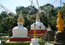 Nice Pagoda Style
