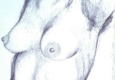 Portrait of the Body