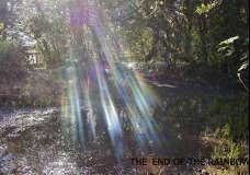 "The end of the Rainbow"