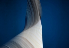 The Wing