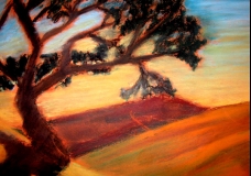 California Hills
