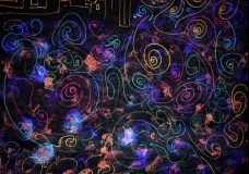 Maze