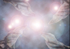 Casimir flux