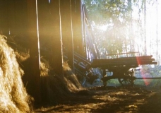 Golden fog through the aperture of hayloft