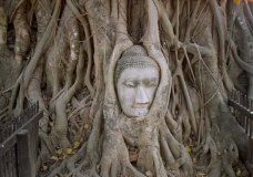 Nature Protects the Divine