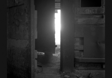 Untitled 6