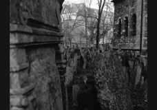 Untitled 7