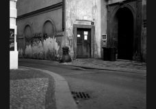 Untitled 8
