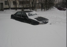 Капризы природы