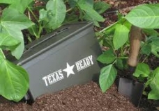emergency seeds