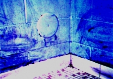 Missing Toilet