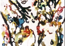 Flora