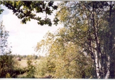 Август