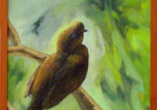 GAllito de las Rocas