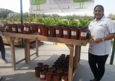 Youth in Dubai Planted 111 Ghaf trees