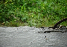 Rain Drop