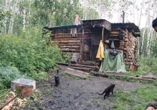 house of a hunter in the forest