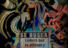 1483510_533269323424199_1259597845_n