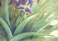 Fleur-de-Lis