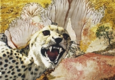 Desert with Gepard