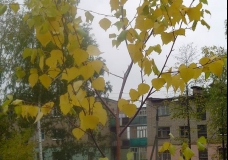 Russia