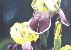 Fleur-de-Lis 7
