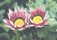 Midday Flower