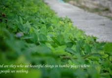 Humble Places