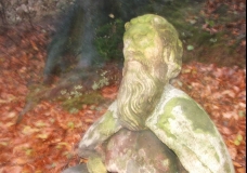monk