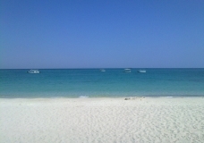 Blue Peace