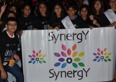 SYNERGY EARTH HOUR 2014