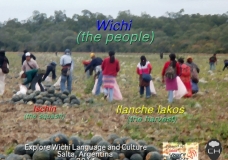 Wichi - The Harvest
