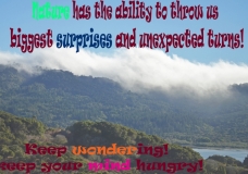 Nature's Wonder