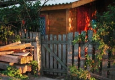 Evening 1