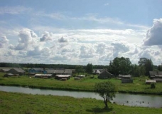 Saunino