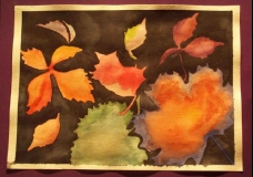 Leaves