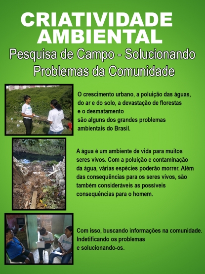Environmental Creativity